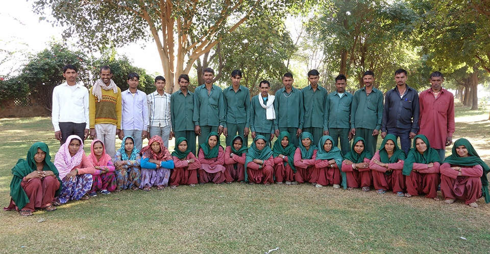 The Sagar School HORTICULTURE AND LANDSCAPE MAINTENANCE SERVICES